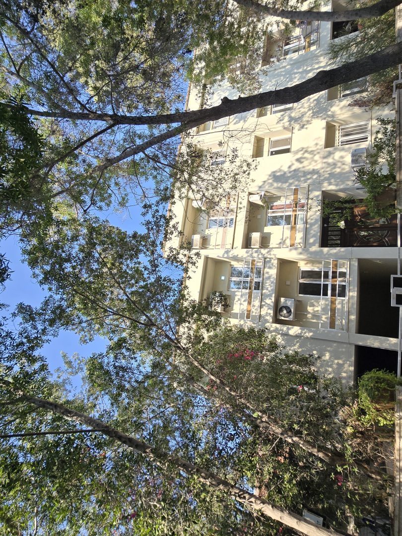 فروش بلوک یکجا و مجزا صدف کیش