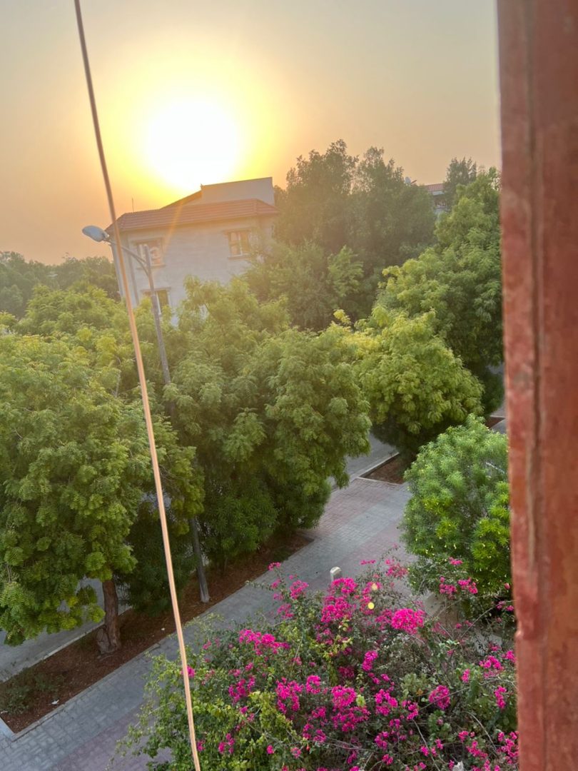 فروش نوبنیاد لاین پاسارگاد یک خواب جزیره کیش محمد آزاد