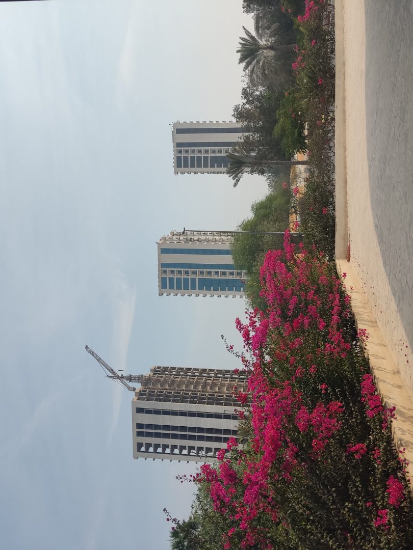 فروش فاز ۷ صدف دو خواب رو به نما محمد آزاد