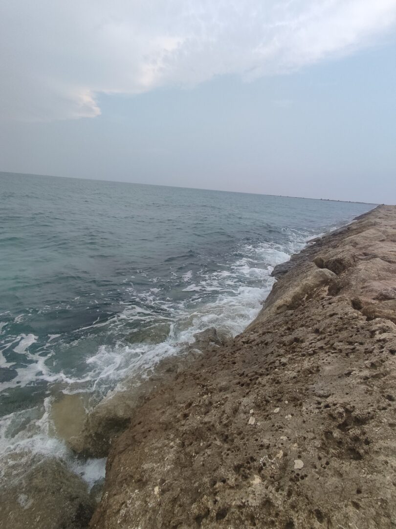 فروش عرفان صدف محمد آزاد