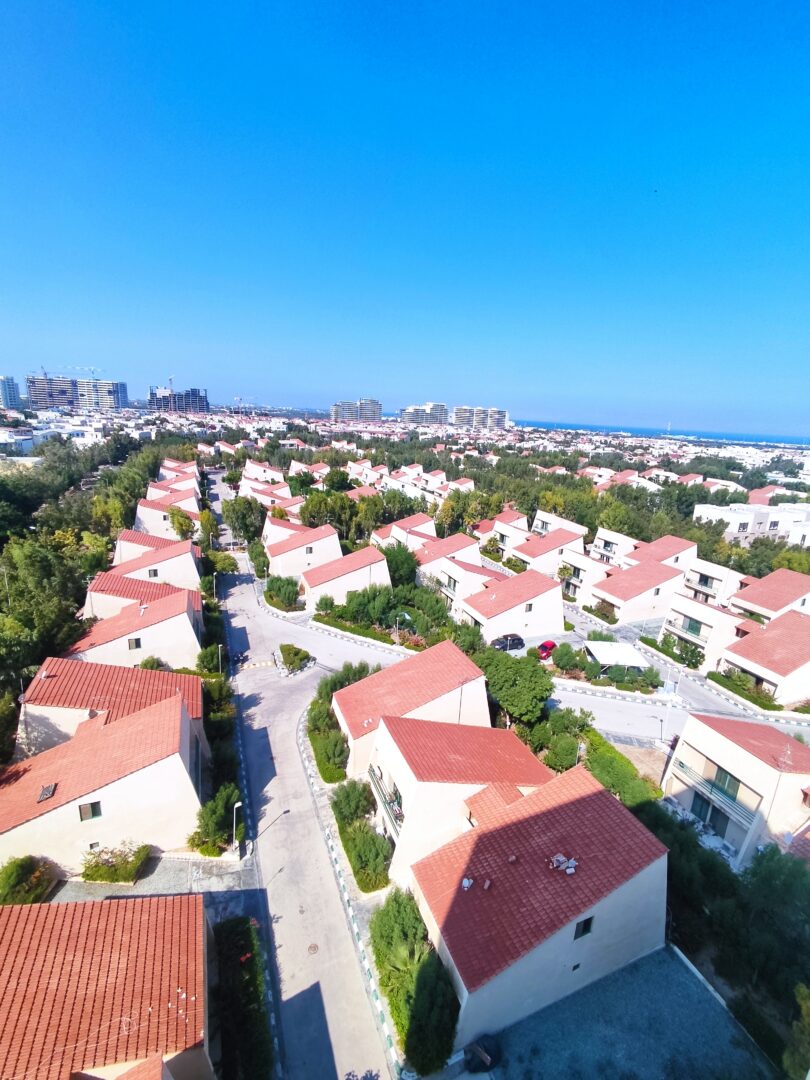 دامون ساحلی ۲ یک خواب