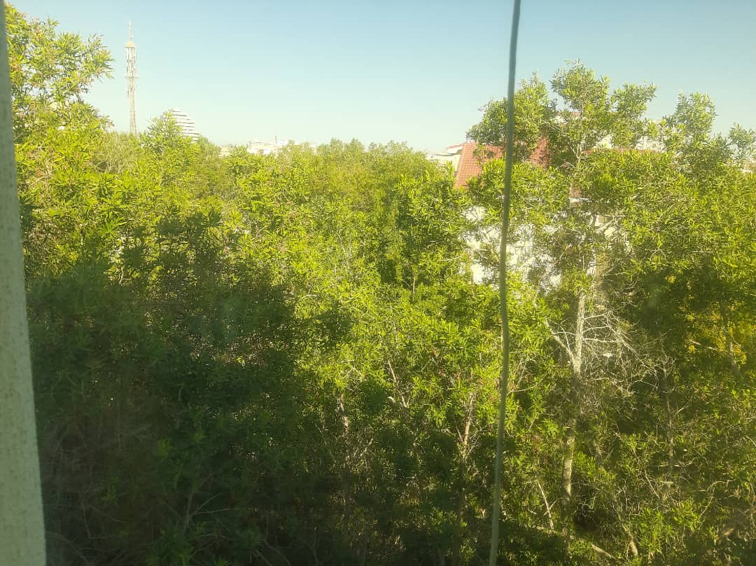 فروش شهرک صدف دو خواب زیر قیمت جزیره کیش