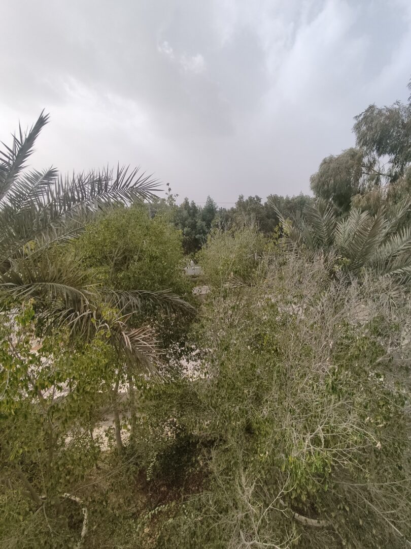 صدف خیابان فرخی دو خواب جزیره کیش