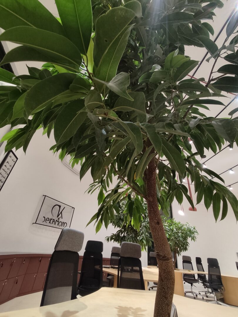 فروش خدماتی پاساژ تولید ارم جزیره کیش