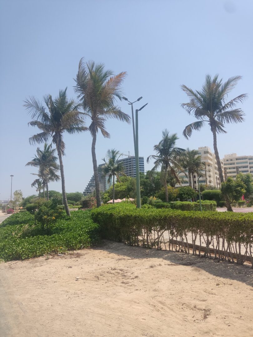 فروش نوبنیاد راش شمالی یک خواب محمد آزاد