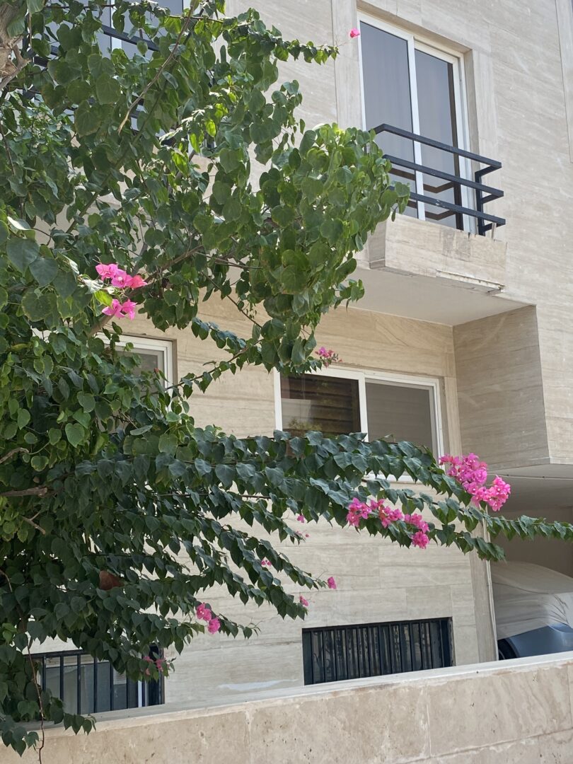 فروش ۸۴متر دوخواب/تراس رایگان/شهرک صدف