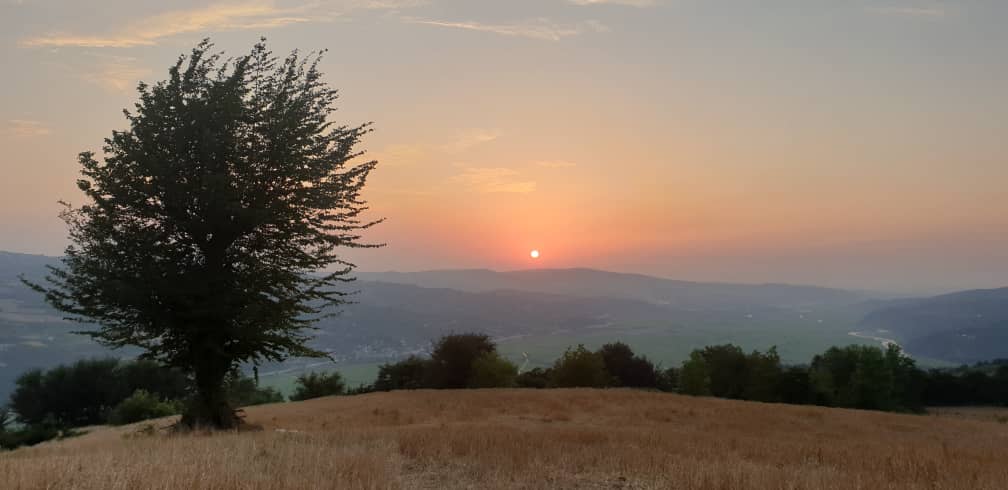 فروش یا تهاتر زمین ساری(مازندران) با پاساژ سارینا 2 کیش / سرمایه گذاری هوشمندانه