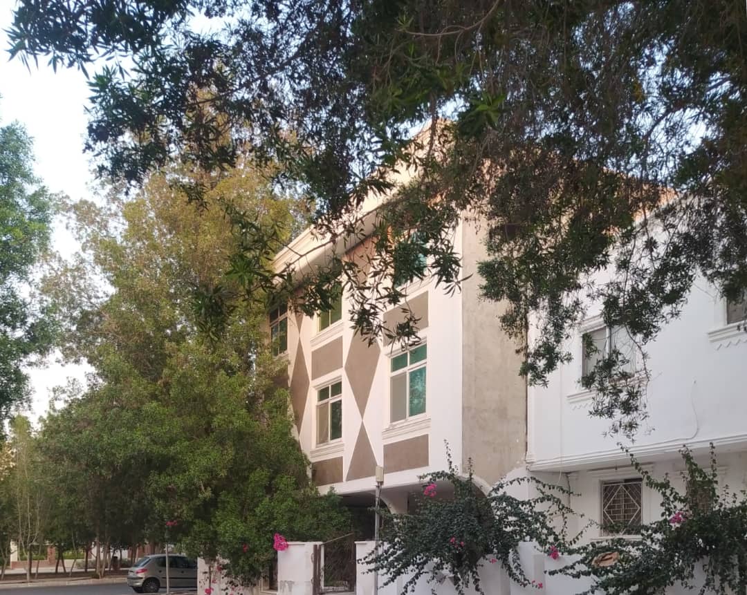 فروش فاز f نبوت ،۱ خواب در کیش