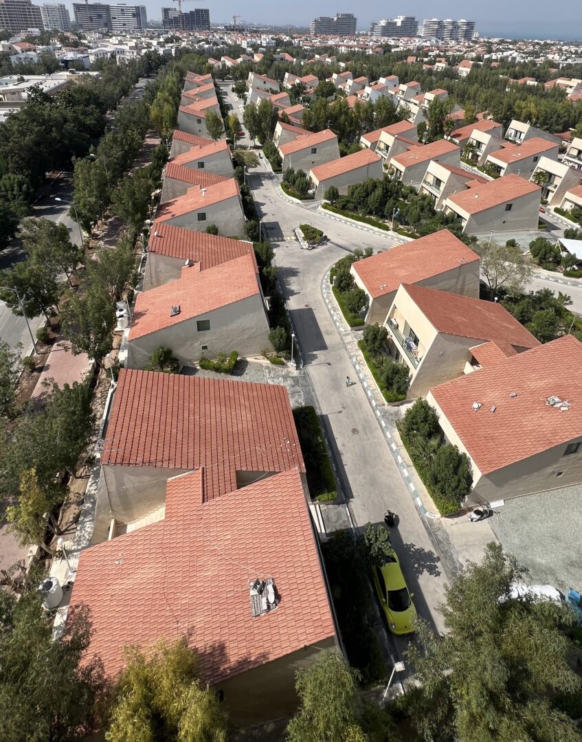 فروش دامون ۶