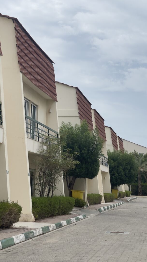 دامون‌ ساحلی ۱ دید دریا