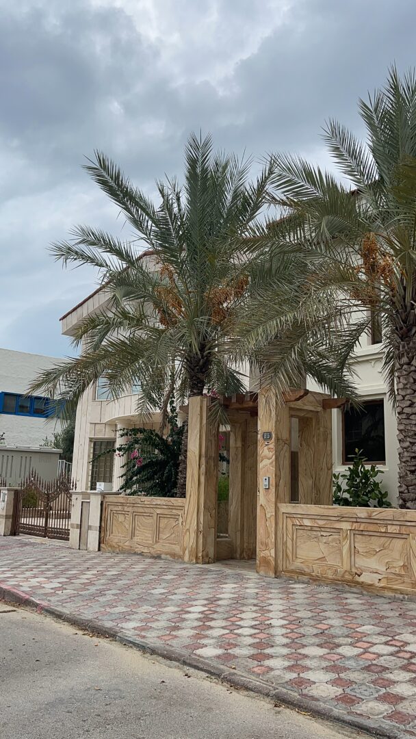 نوبنیادیک/۲خواب/باسازی شده